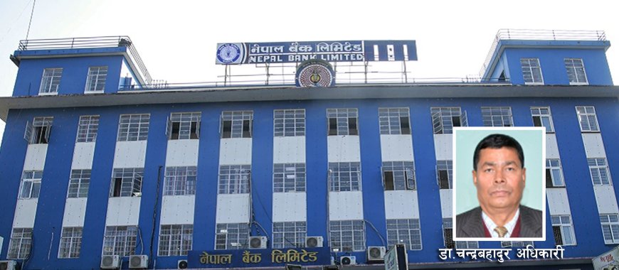 अध्यक्षमा डा. चन्द्रबहादुर अधिकारी नियुक्त