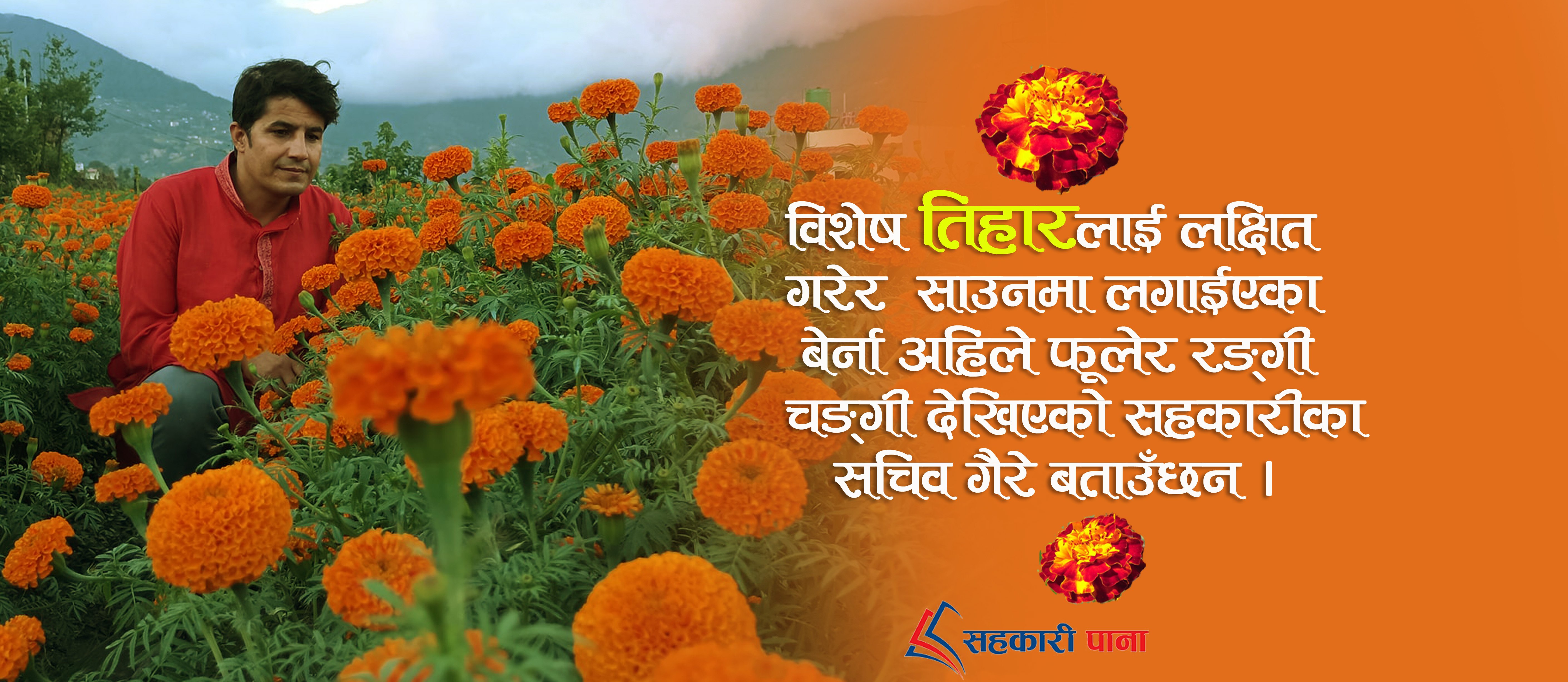 अव सहकारी पनि फूल खेतीतिर उन्मुख