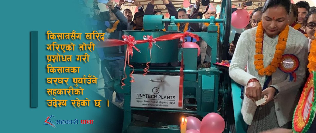 सहकारीद्धारा तोरीको तेल बनाउँने उद्योग सञ्चालन