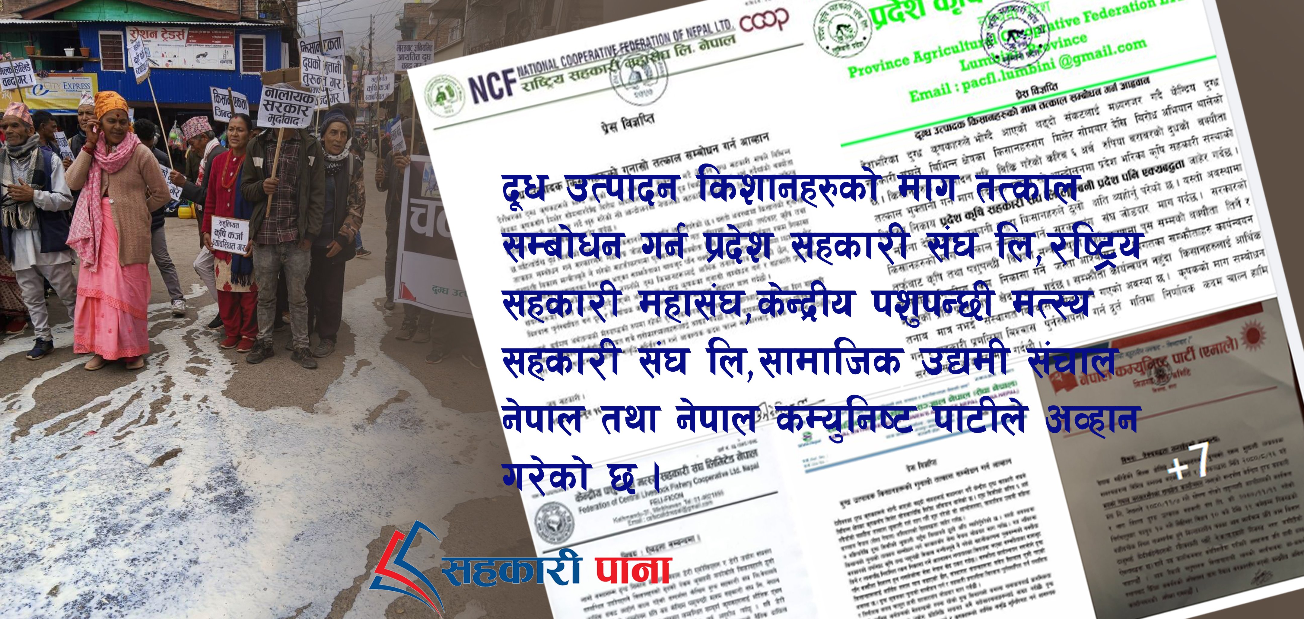 दुग्ध उत्पादक सहकारीको सडकमा दुध पोखेर विरोध