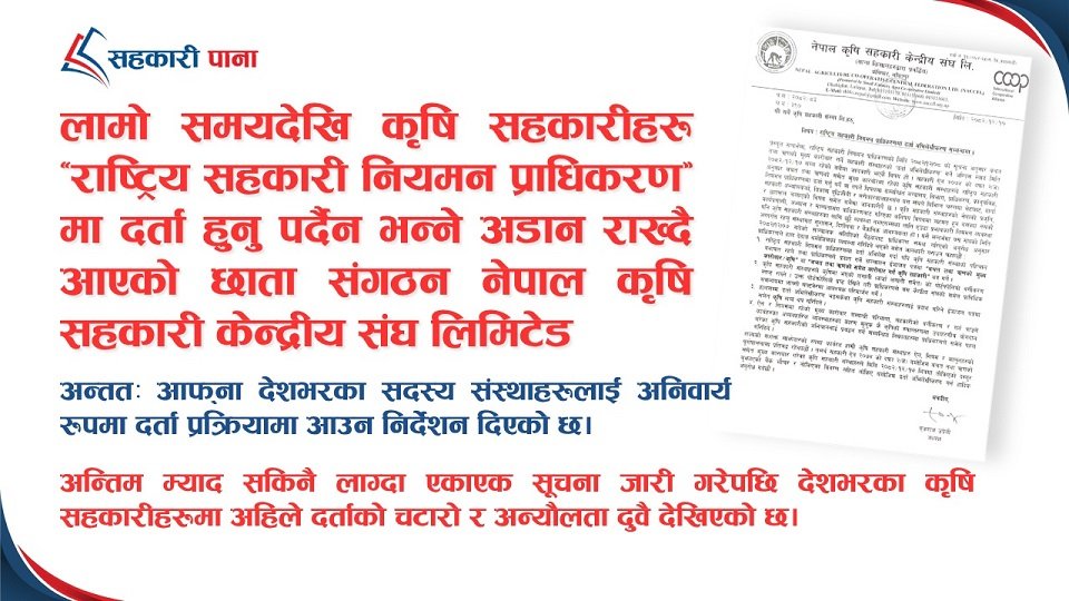 केन्द्रीय संघको गैरजिम्मेवारीको मूल्य कृषि सहकारील...